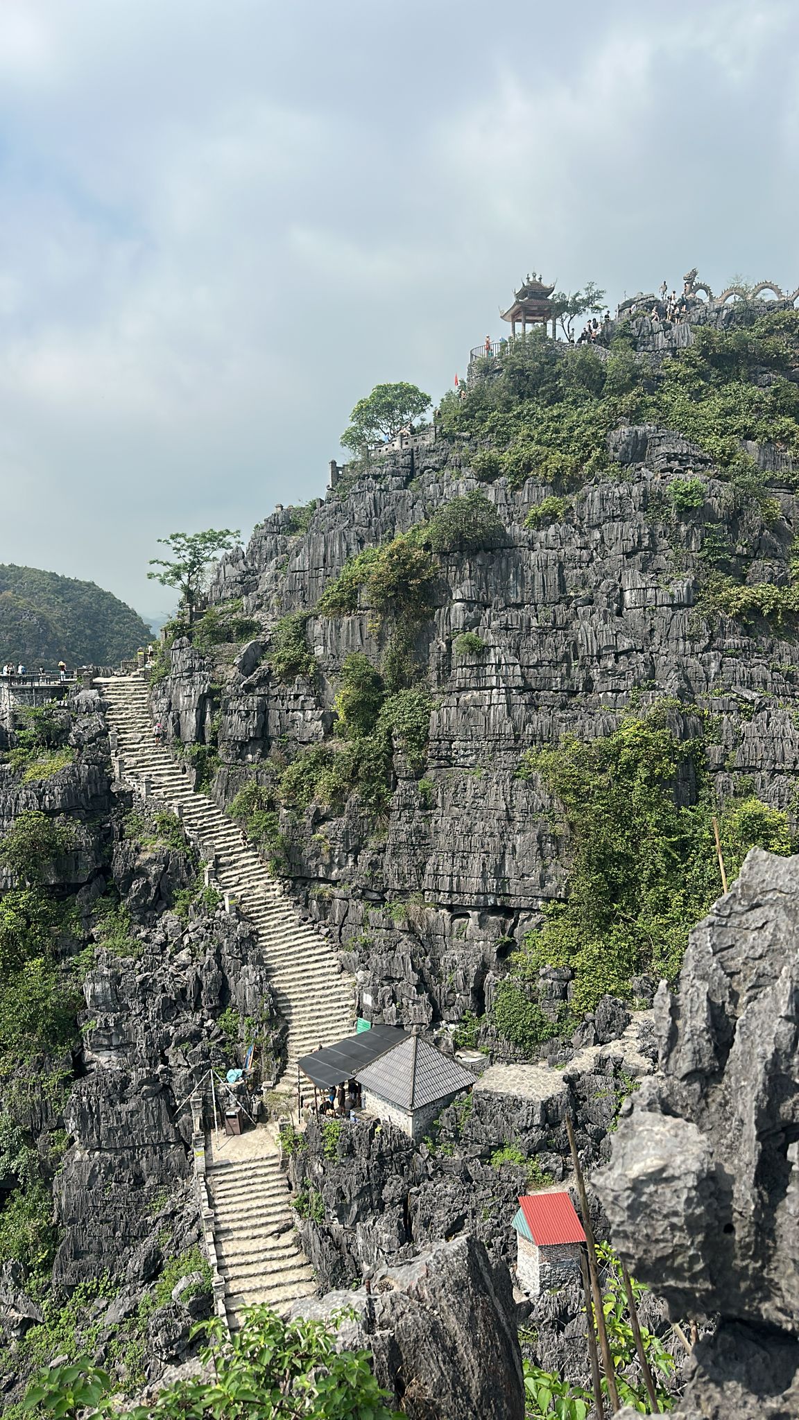 Sapa